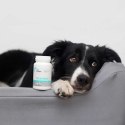[W] VET EXPERT KALMVET 60 KAPSUŁEK Medivet