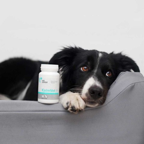 VET EXPERT KALMVET 60 KAPSUŁEK Medivet VET EXPERT KALMVET 60 KAPSUŁEK Medivet