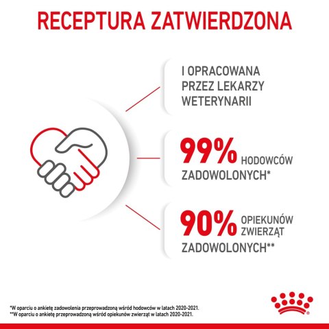 ROYAL CANIN Kitten Pasztet 12x85g ROYAL CANIN Kitten Pasztet 12x85g