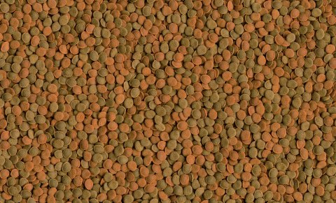 Tetra Wafer Mix 100ml Tetra Wafer Mix 100ml