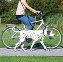 Trixie Smycz Na Rower I Do Joggingu 1-2m